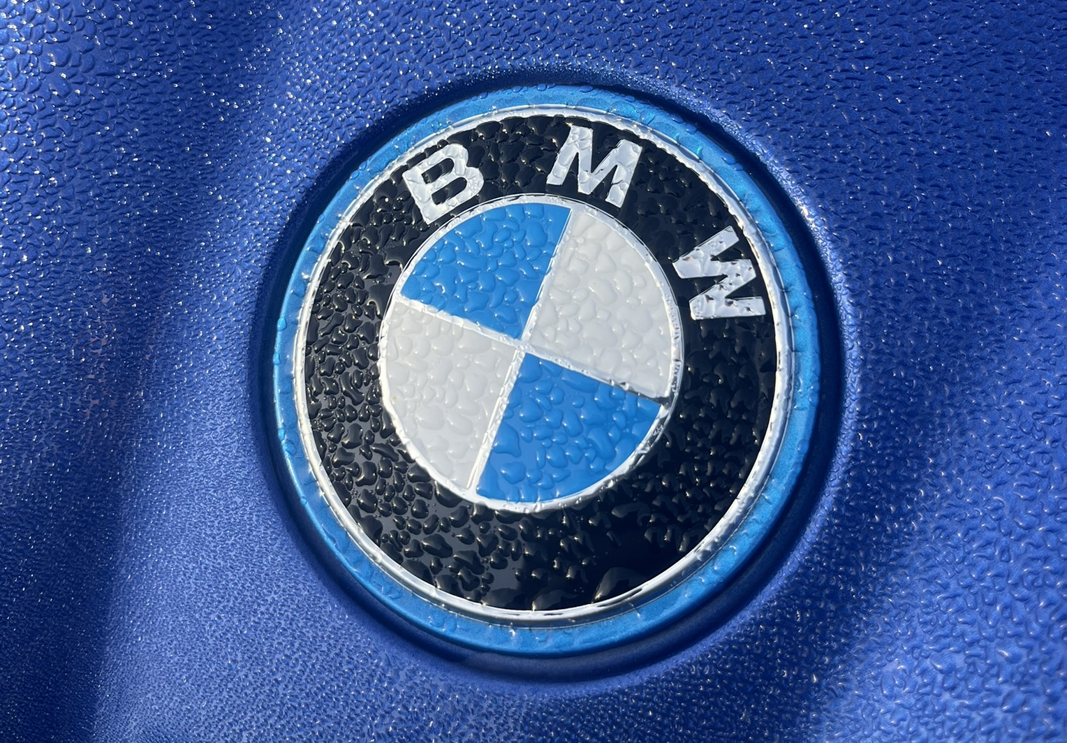 BMW logo